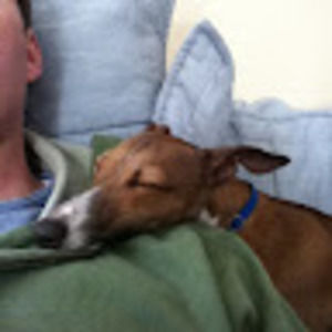 Meet your Posher, Joe